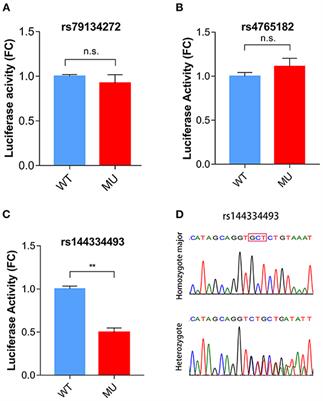 Functional Deletion/Insertion Promoter Variants in SCARB1 Associated With Increased Susceptibility to Lipid Profile Abnormalities and Coronary Heart Disease